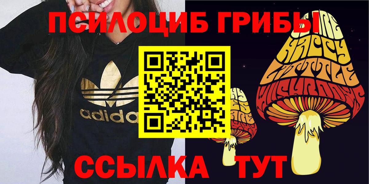 Псилоцибиновые грибы мицелий  цены наркотик  Ступино  Вход с VPN 
